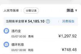 萍乡萍乡的要账公司在催收过程中的策略和技巧有哪些？